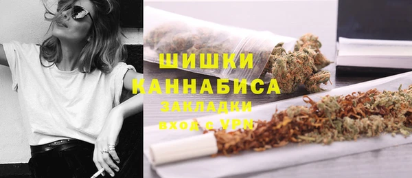 гидра Осинники