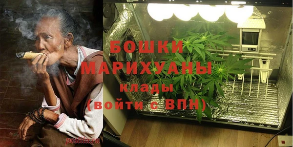 гидра Осинники