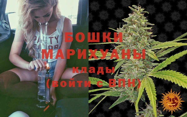 гидра Осинники