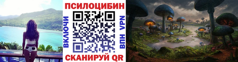 Галлюциногенные грибы Psilocybe Ильский